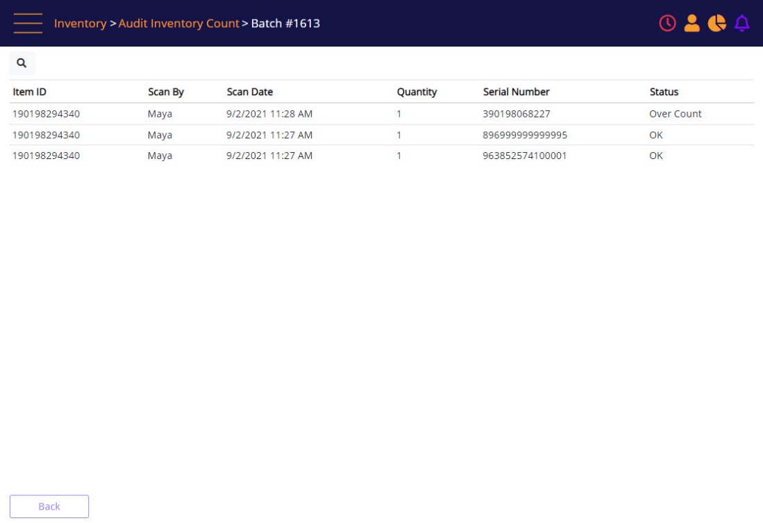 Audit Inventory Count – Counted view